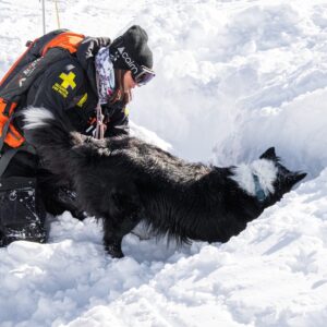 Meet the Rescue Trackers and their Avalanche Dogs | Pinnacle Experiences