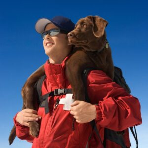 Partez à la rencontre des pisteurs secouristes et de leurs chiens d'avalanche | Pinnacle Experiences